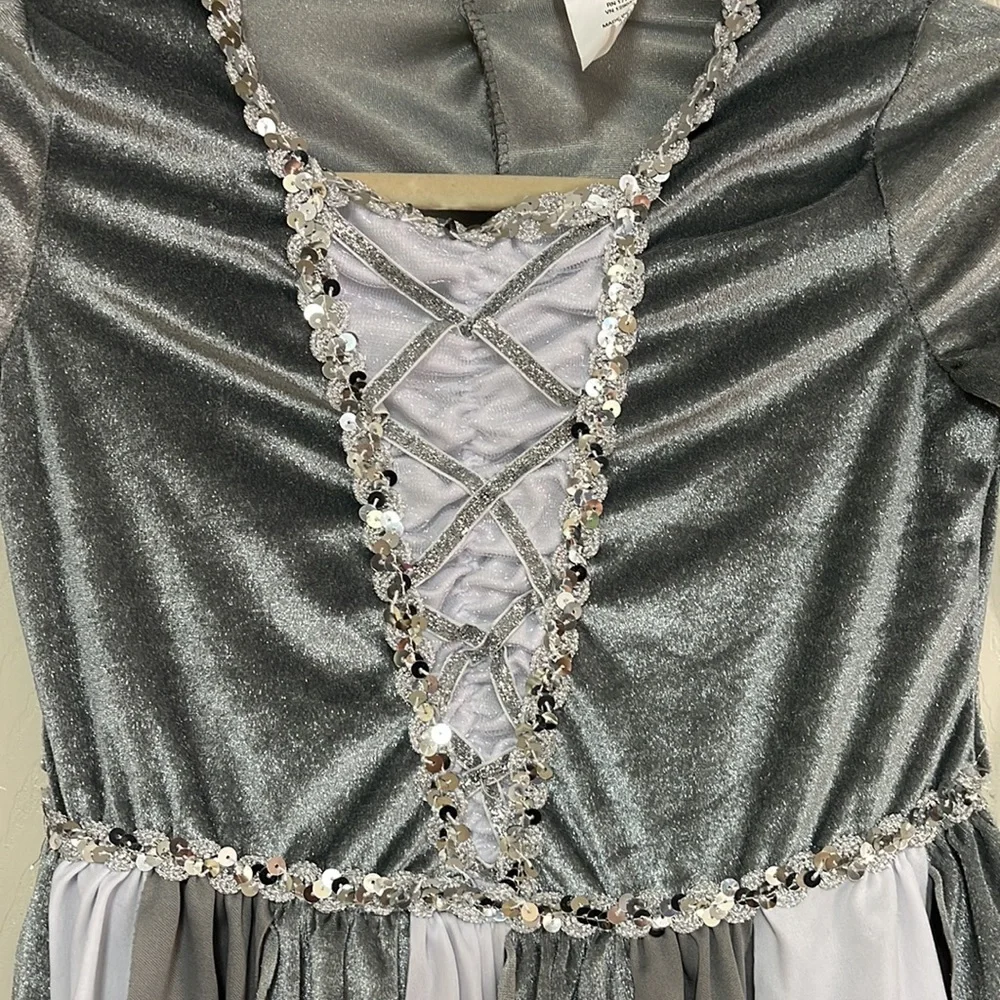 Costume. Girls size medium. See pictures! Used condition!